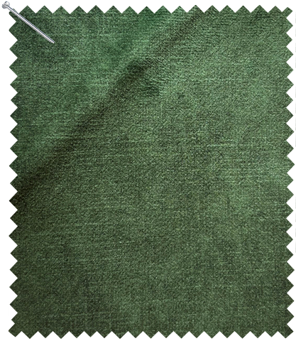 Conifer